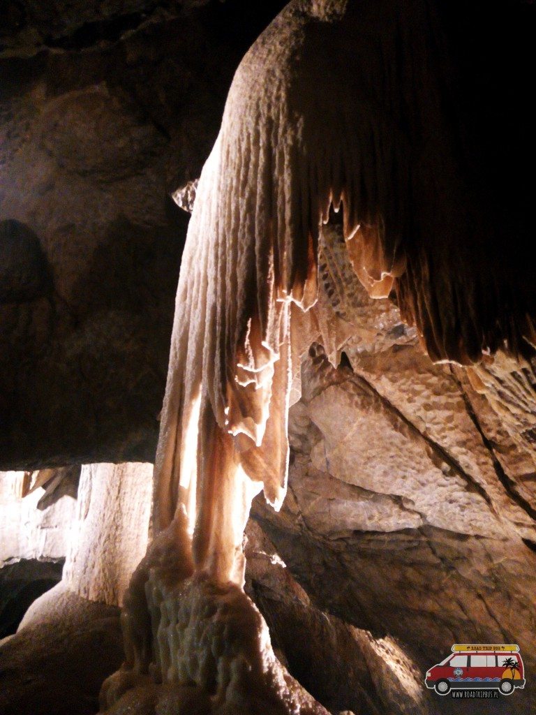 Jeden ze stalagnatów, jakich w Jaskiniach Punkvy nie brakuje