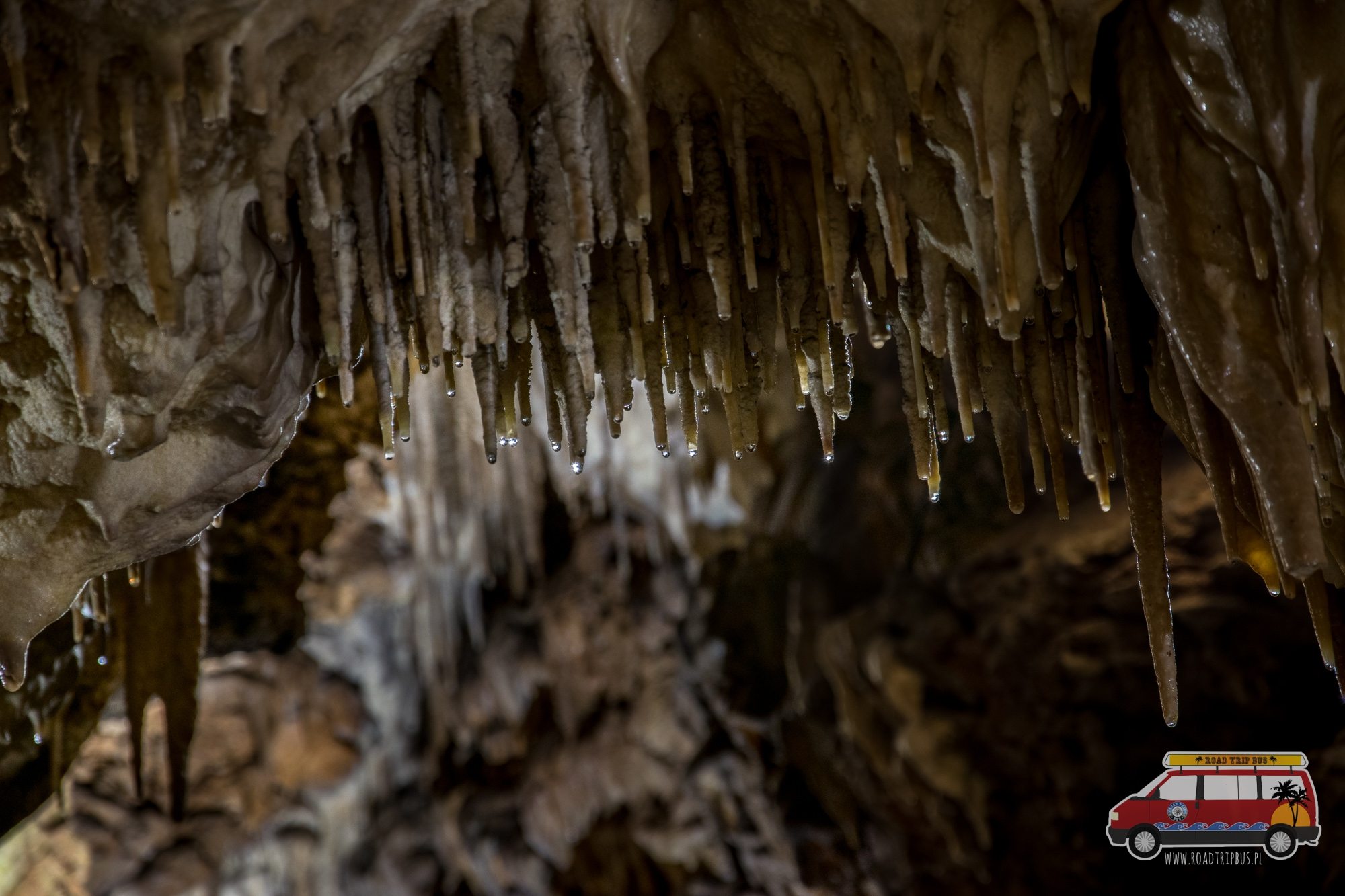 stalaktyty w jaskini raj