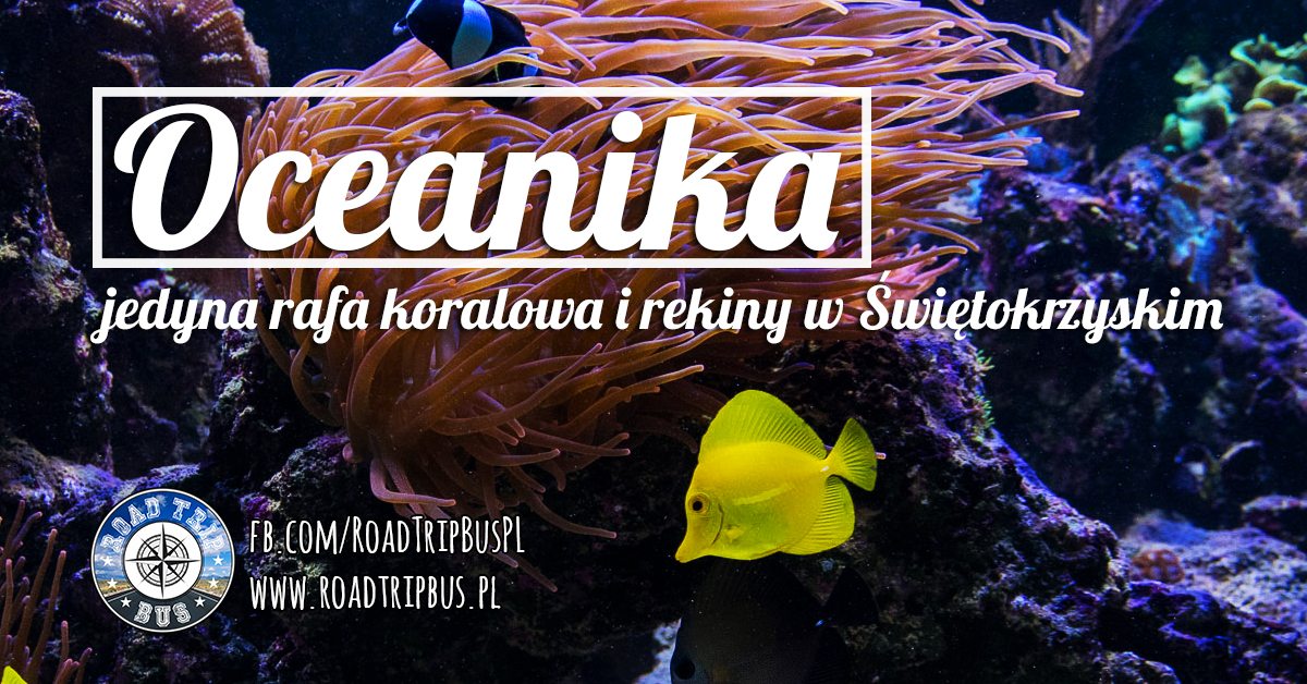 oceanika